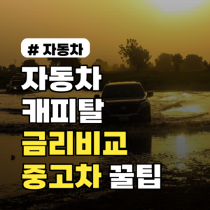자동차 캐피탈 금리 비교: 중고차 살 때 꼭 확인해야 할 5가지