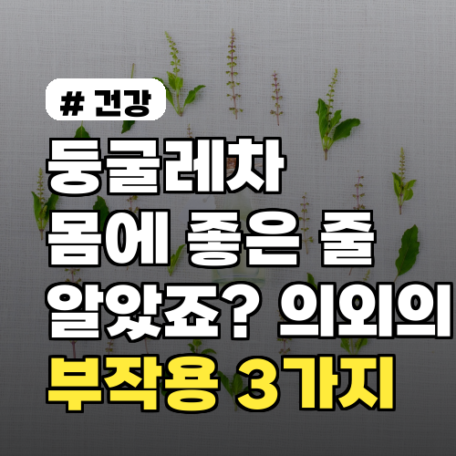 둥굴레차 몸에 좋은 줄 알았죠? 의외의 부작용 3가지