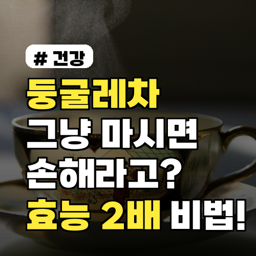 둥굴레차 그냥 마시면 손해? 알고 마시면 효능 2배 되는 법
