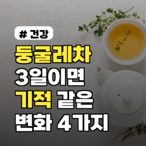 둥굴레차 3일만 마셔도 몸에 생기는 기적 같은 변화 4가지