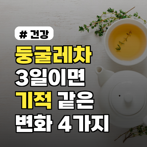 둥굴레차 3일만 마셔도 몸에 생기는 기적 같은 변화 4가지