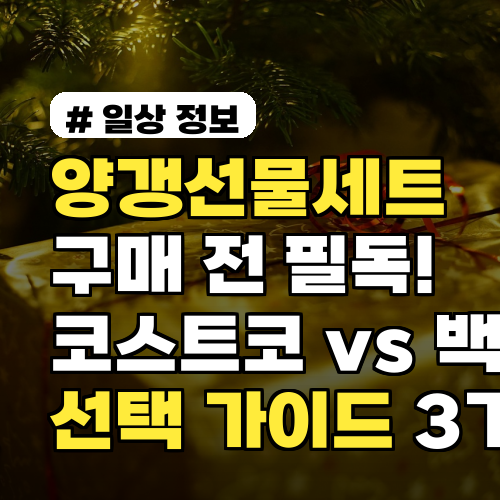 양갱선물세트 구매 전 필독! 코스트코 vs 백화점 선택 가이드 3가지