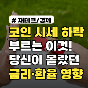 코인 시세 하락 부르는 이것! 당신이 몰랐던 금리·환율 영향