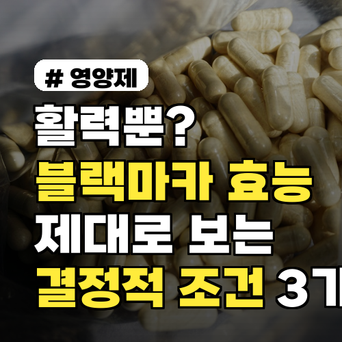 활력뿐? 블랙마카 효능 제대로 보는 결정적 조건 3가지