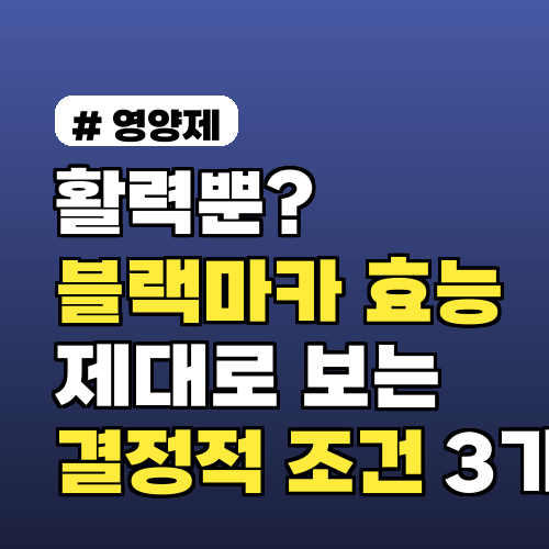 활력뿐? 블랙마카 효능 제대로 보는 결정적 조건 3가지