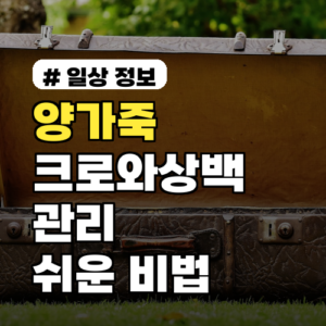 양가죽 크로와상백 관리 어려울까? 재질별 장단점과 쉬운 관리법