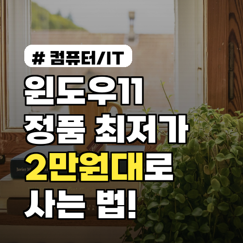 윈도우11 정품 최저가 구매? OOO에서 2만원대로 사는 법