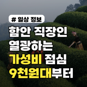 함안 직장인들이 열광하는 가성비 점심 맛집 3곳! 9천원대부터