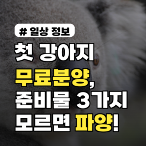 첫 강아지 무료분양, 이것 모르면 파양합니다! 준비물 3가지