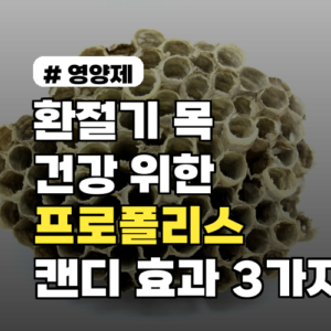 환절기 목 건강을 위한 프로폴리스 캔디, 섭취 효과 3가지