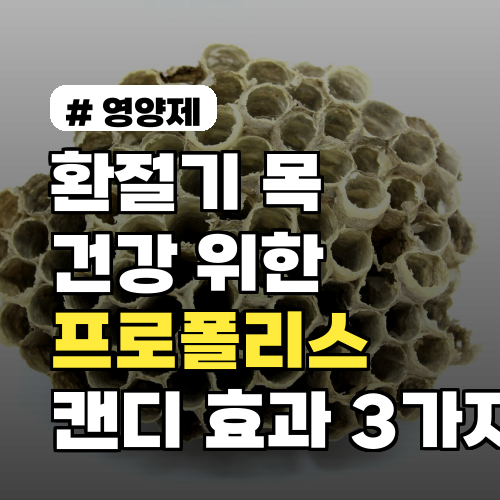 환절기 목 건강을 위한 프로폴리스 캔디, 섭취 효과 3가지