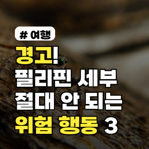 경고! 필리핀 세부에서 절대 하면 안 되는 위험 행동 3가지
