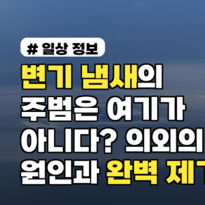 변기 냄새의 주범은 여기가 아니다? 의외의 원인과 완벽 제거법