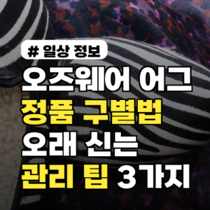 오즈웨어 어그 정품 구별법부터 오래 신는 관리 팁 3가지