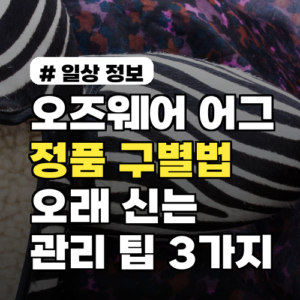 오즈웨어 어그 정품 구별법부터 오래 신는 관리 팁 3가지
