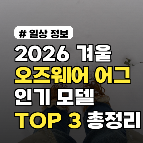 2026년 겨울 오즈웨어 어그 인기 모델 TOP 3 총정리