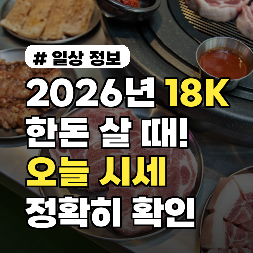 2026년 18K 한돈 살 때! 오늘 시세 정확히 확인하는 3가지 팁