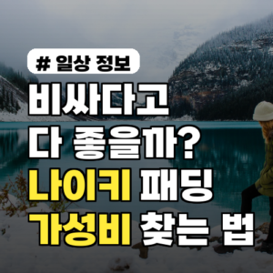 비싸다고 다 좋을까? 나이키 패딩 가성비 모델 찾는 법