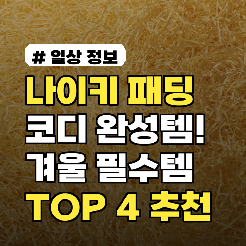 나이키 패딩 코디 완성템! 겨울 필수템 TOP 4 추천