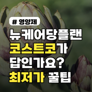 뉴케어당플랜 코스트코가 답? 2026년 최저가 구매 꿀팁