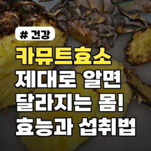 카뮤트효소, 제대로 알면 달라지는 몸! 효능과 섭취법 총정리