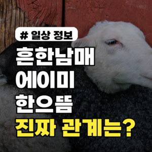 흔한남매 에이미와 한으뜸, 실제 결혼 루머와 진짜 관계 총정리