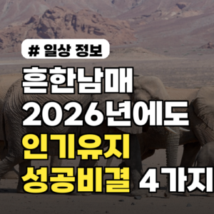 흔한남매가 2026년에도 인기 유지하는 의외의 성공 비결 4가지