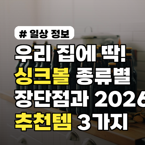 우리 집에 딱! 싱크볼 종류별 장단점과 2026년 추천템 3가지