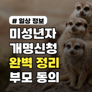 미성년자 개명신청, 부모 동의부터 필수 서류까지 완벽 정리