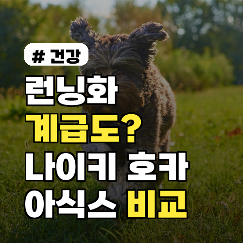 런닝화 계급도? 나이키-호카-아식스 인기 브랜드 비교 TOP 5