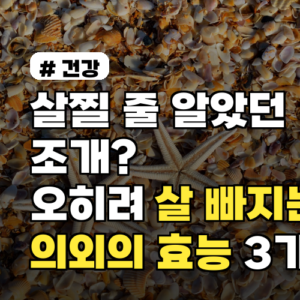 살찔 줄 알았던 조개? 오히려 살 빠지는 의외의 효능 3가지