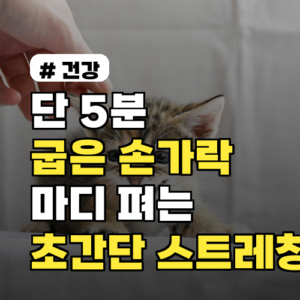 단 5분 투자! 굽은 손가락 마디 펴는 초간단 스트레칭 3가지