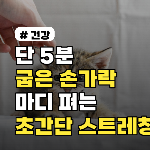 단 5분 투자! 굽은 손가락 마디 펴는 초간단 스트레칭 3가지