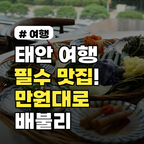 태안 여행 필수! 만원대로 배불리 즐기는 가성비 맛집 5곳