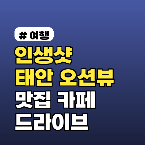 인생샷 건지는 태안 오션뷰 맛집/카페! 실패 없는 드라이브 코스