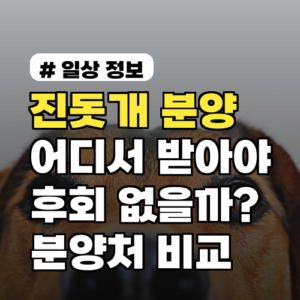 진돗개분양, 어디서 받아야 후회 없을까? 3가지 분양처 비교