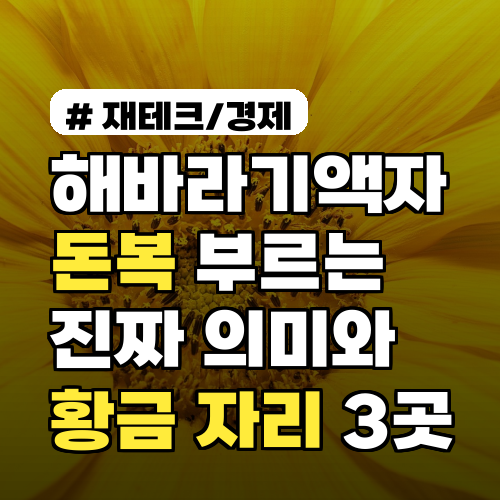 해바라기액자, 돈복 부르는 진짜 의미와 황금 자리 3곳