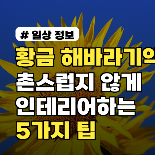 황금 해바라기액자, 촌스럽지 않게 인테리어하는 5가지 팁