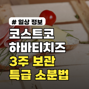 코스트코 하바티치즈 곰팡이? 3주 신선하게 보관하는 특급 소분법
