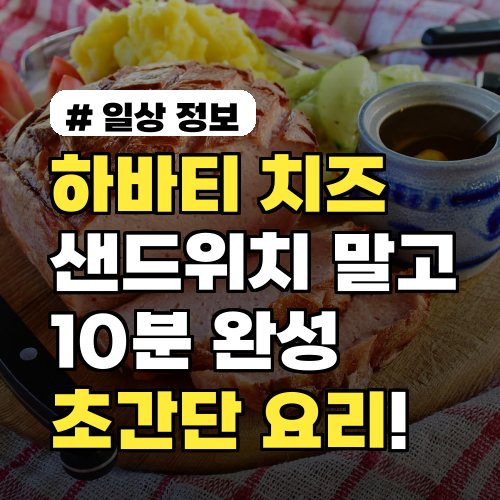하바티치즈, 샌드위치 말고? 10분 완성 초간단 요리 3가지