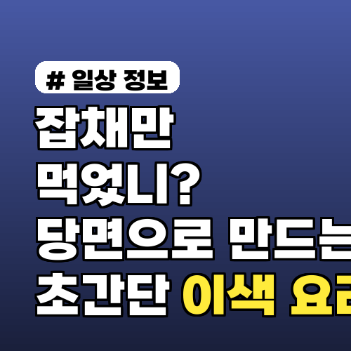 잡채만 먹었니? 당면으로 만드는 초간단 이색 요리 3가지