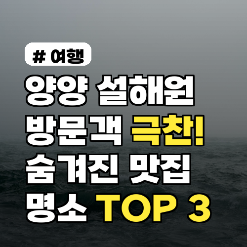 양양 설해원 방문객이 극찬한 숨겨진 맛집 & 명소 TOP 3