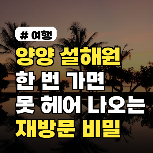 양양 설해원, 한 번 가면 못 헤어 나오는 재방문 비밀 4가지