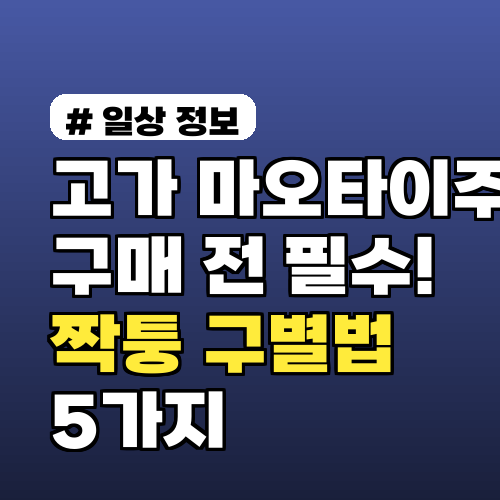 고가 마오타이주 구매 전 필수! 짝퉁 구별법 5가지
