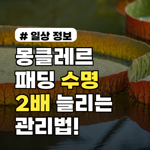 몽클레르 패딩 수명 2배 늘리는! 전문가의 보관 및 세탁법