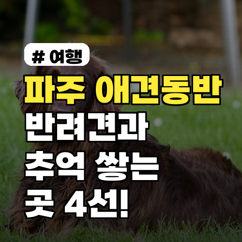 파주 애견동반 가능! 반려견과 함께 추억 쌓는 곳 4선 (놓치지 마세요)