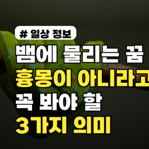 뱀에 물리는 꿈, 흉몽이라고 단정하기 전 꼭 봐야 할 3가지