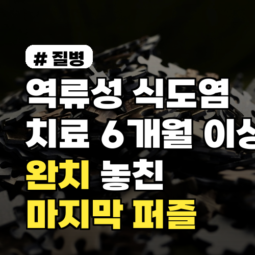 역류성식도염 치료 6개월 이상? 당신이 놓친 완치의 마지막 퍼즐