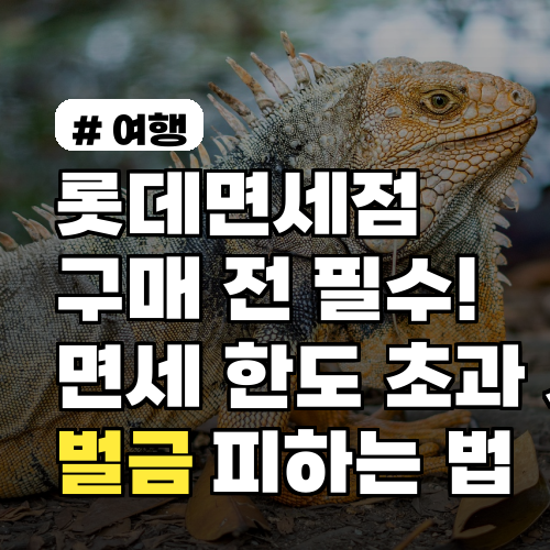 롯데면세점 구매 전 필수! 2026년 면세 한도 초과 시 벌금 폭탄 피하는 법